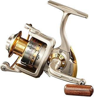 Diwa Spinning Fishing Reels for Saltwater Freshwater 1000 2000 3000 4000 5000 6000 Series Fishing Spool Left/Right Interchangeable Trout Carp Spinning Reel Light and Smooth