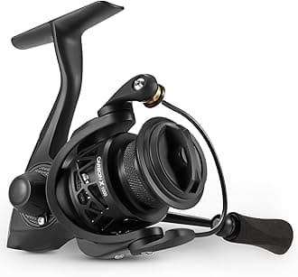 Carbon X Spinning Reel
